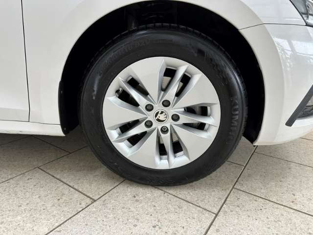 Fahrzeugbild eines Skoda Octavia