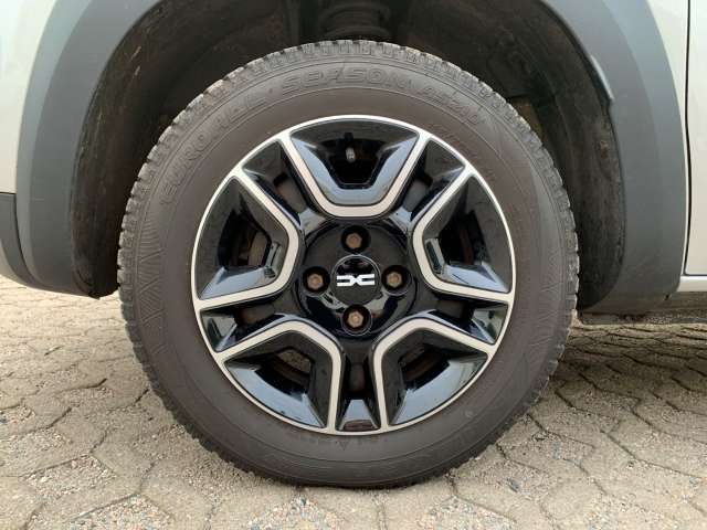 Fahrzeugbild eines Dacia Spring
