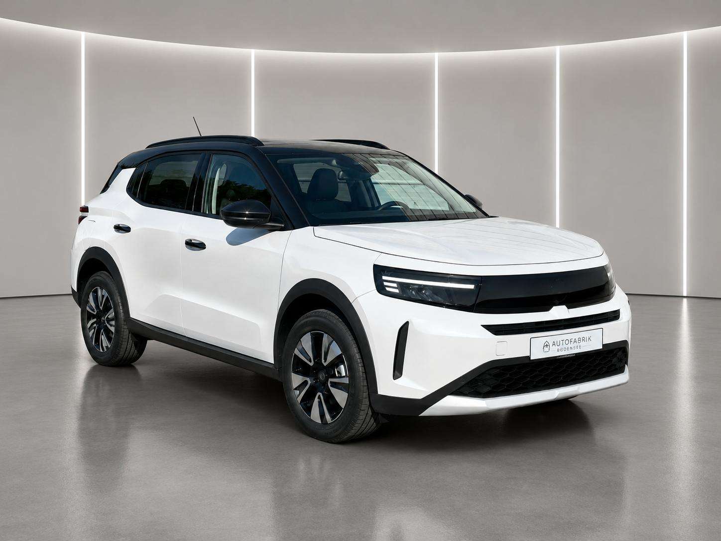Fahrzeugbild eines Opel Frontera