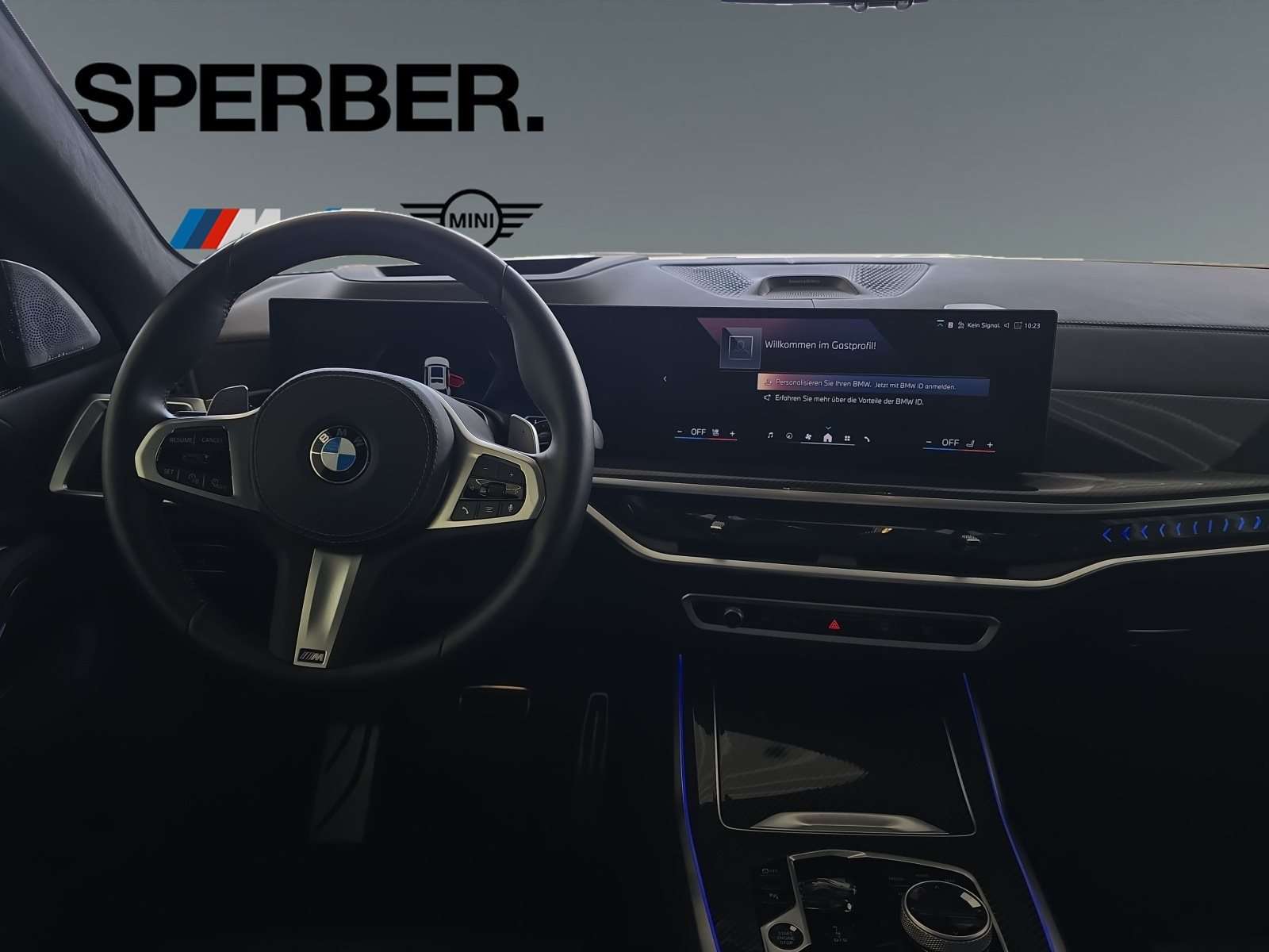 Fahrzeugbild eines BMW X7