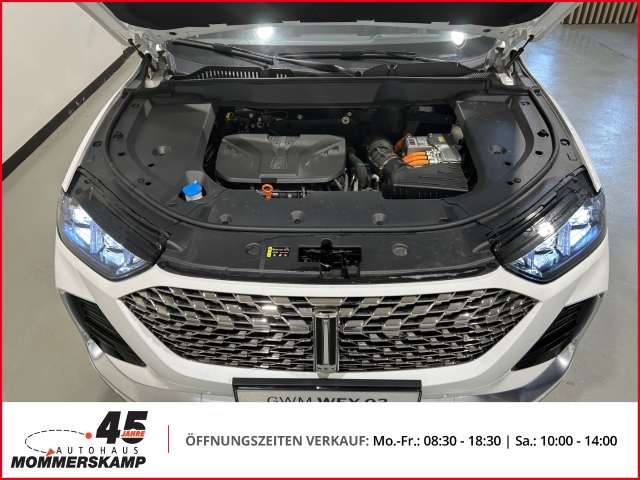 Fahrzeugbild eines GWM Wey 03