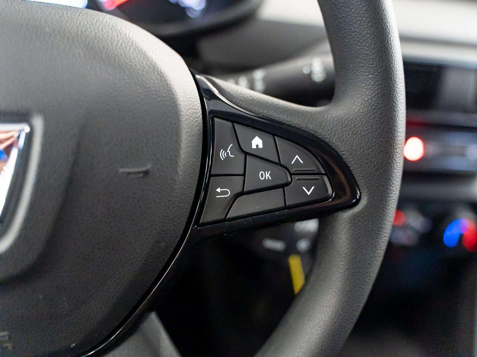 Fahrzeugbild eines Dacia Sandero