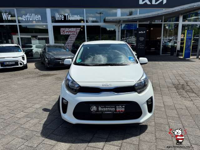 Fahrzeugbild eines Kia Picanto