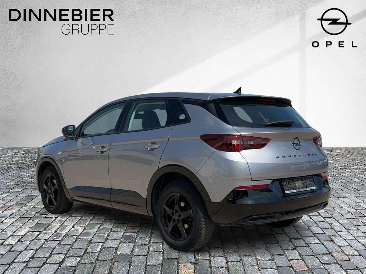 Fahrzeugbild eines Opel Grandland X