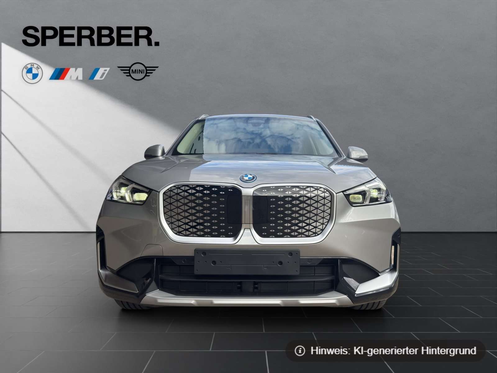 Fahrzeugbild eines BMW iX1