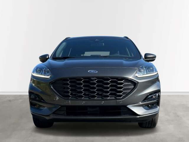Fahrzeugbild eines Ford Kuga