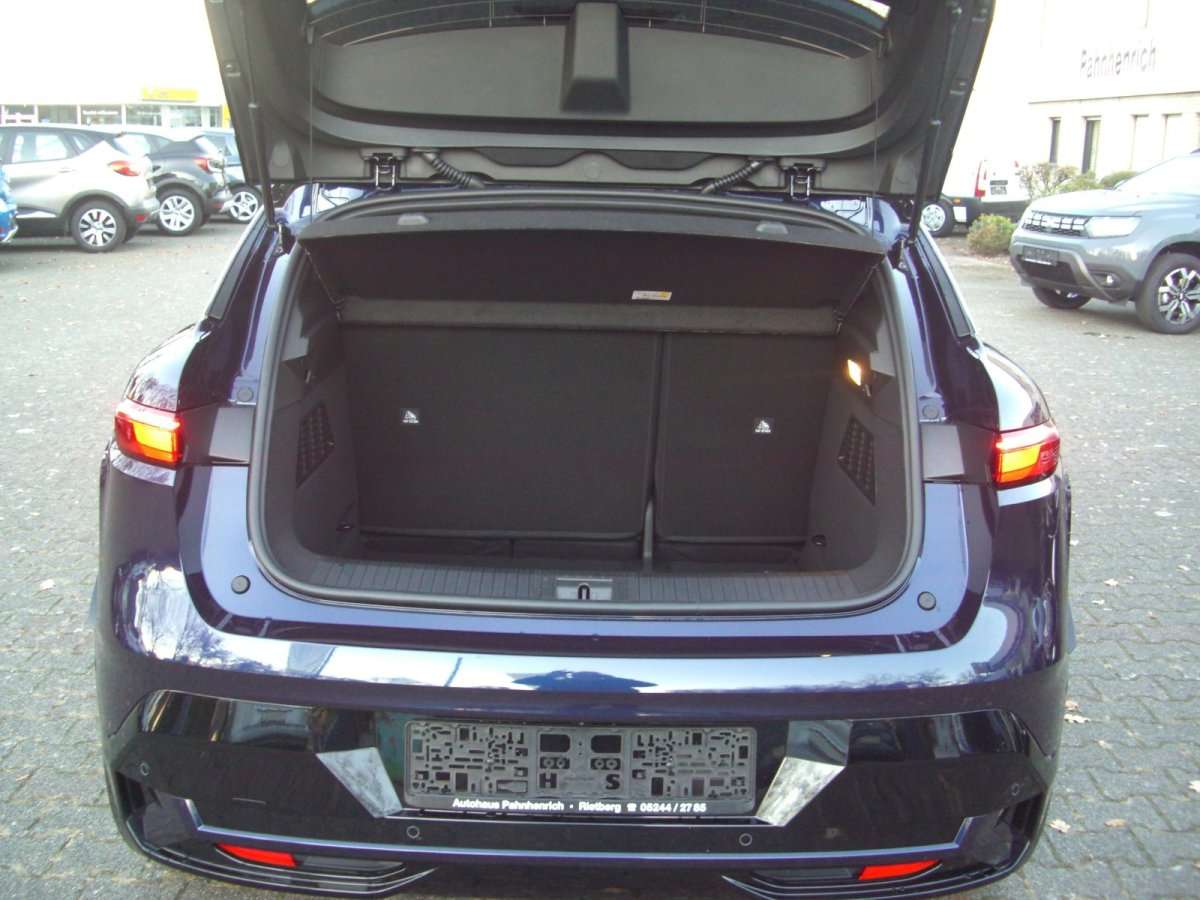Fahrzeugbild eines Renault Mégane