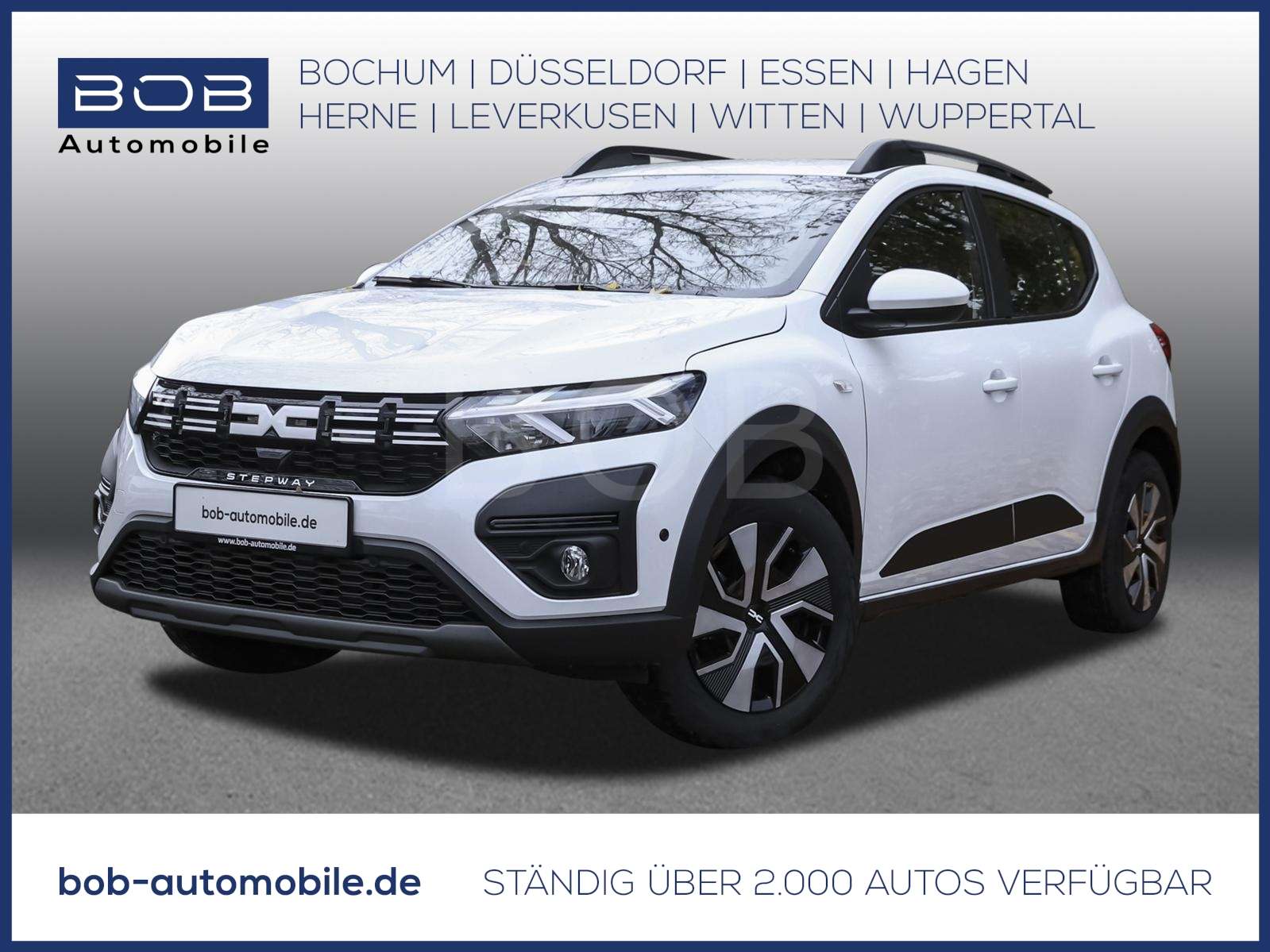 Fahrzeugbild eines Dacia Sandero