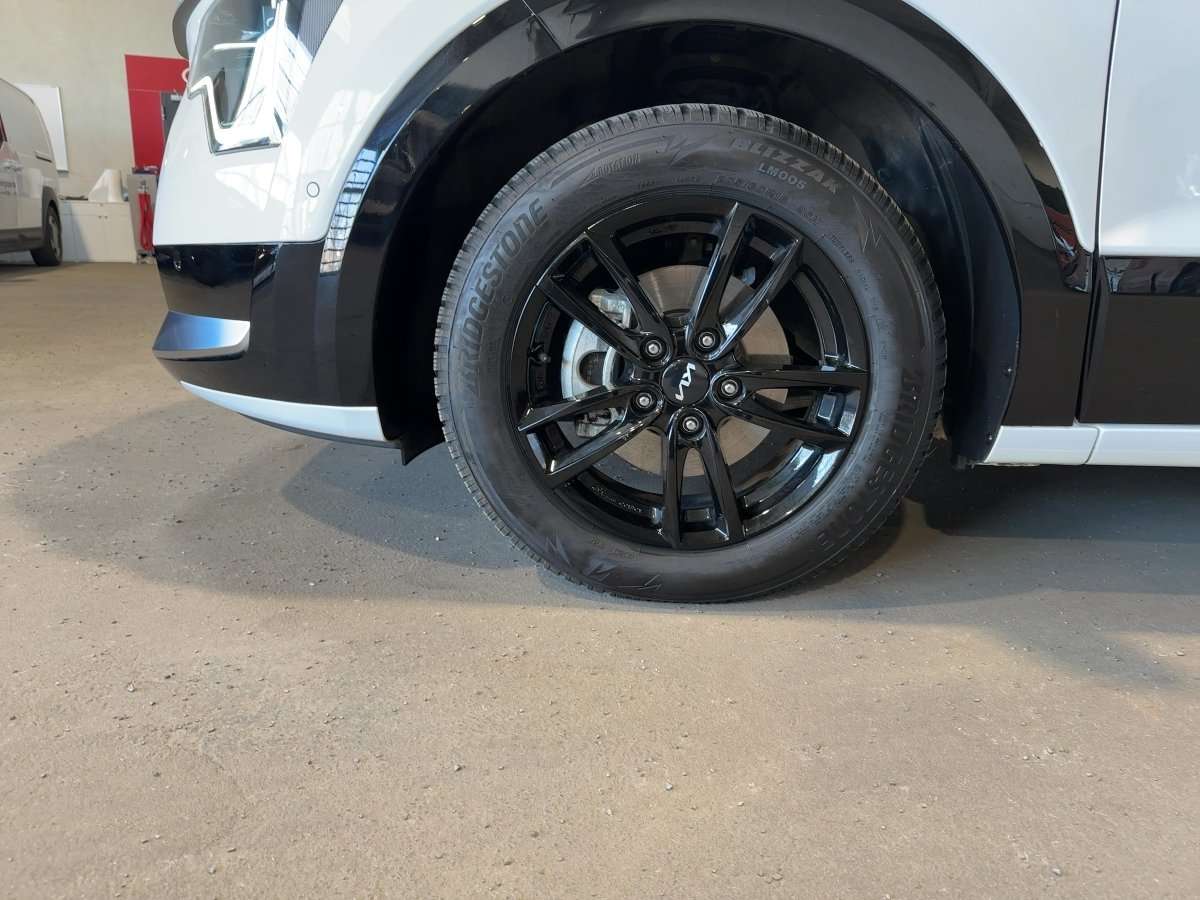 Fahrzeugbild eines Kia Niro