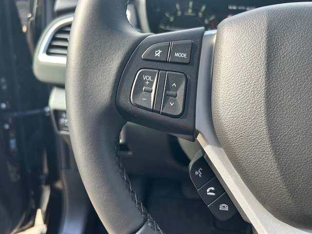 Fahrzeugbild eines Suzuki S-Cross