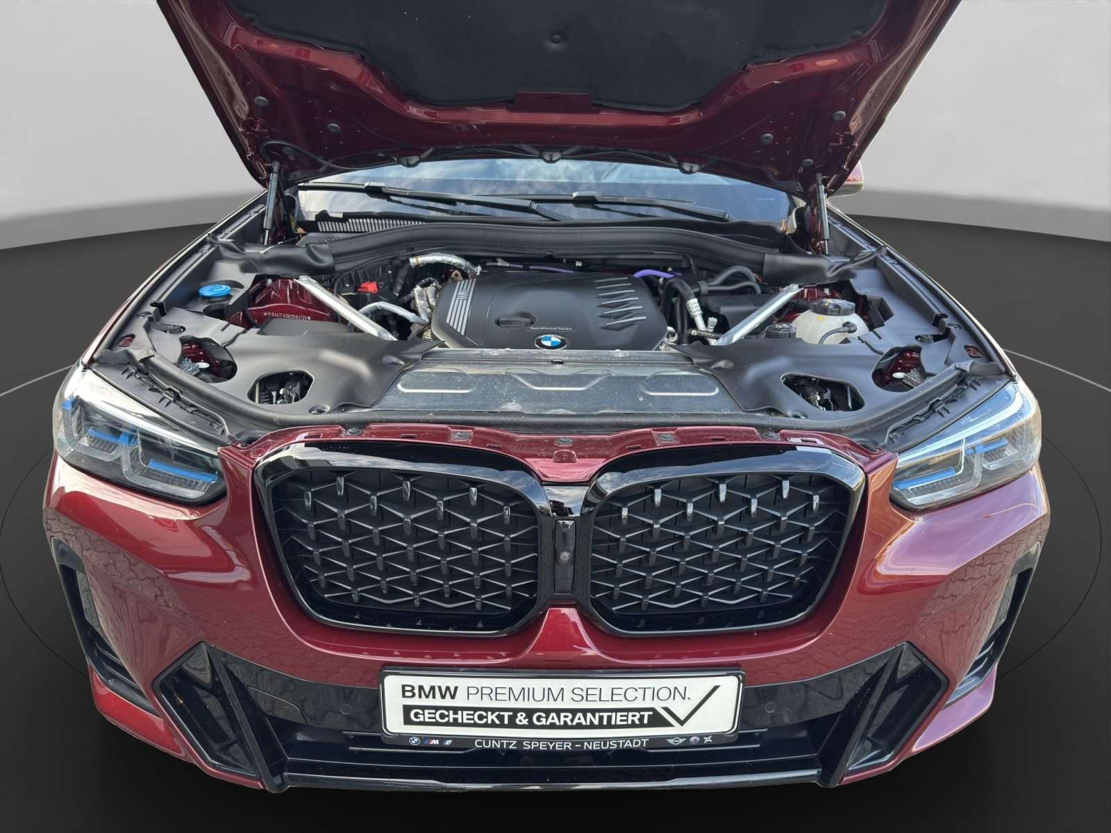 Fahrzeugbild eines BMW X4
