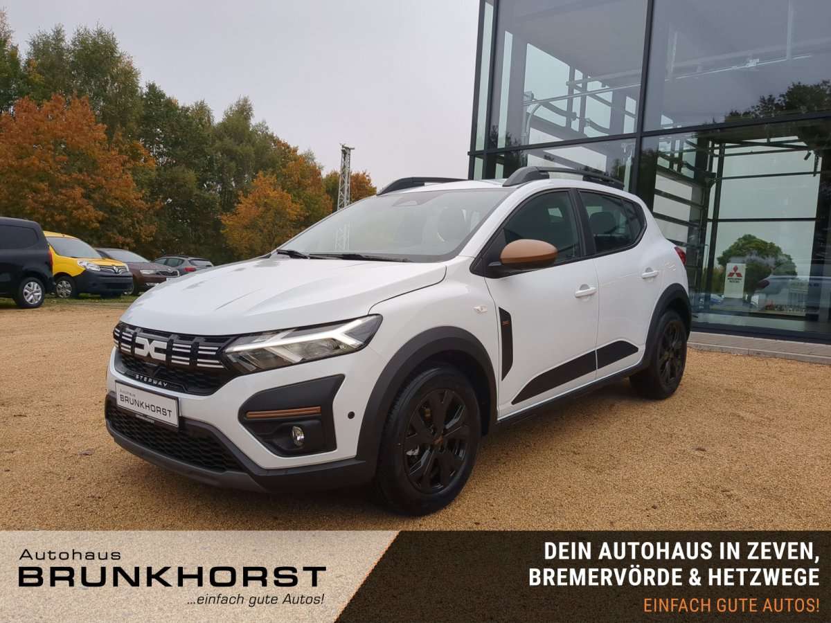 Fahrzeugbild eines Dacia Sandero