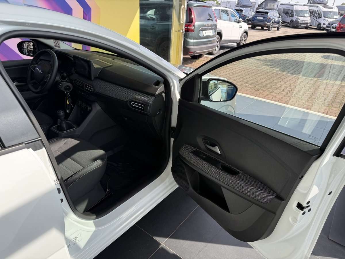 Fahrzeugbild eines Dacia Sandero