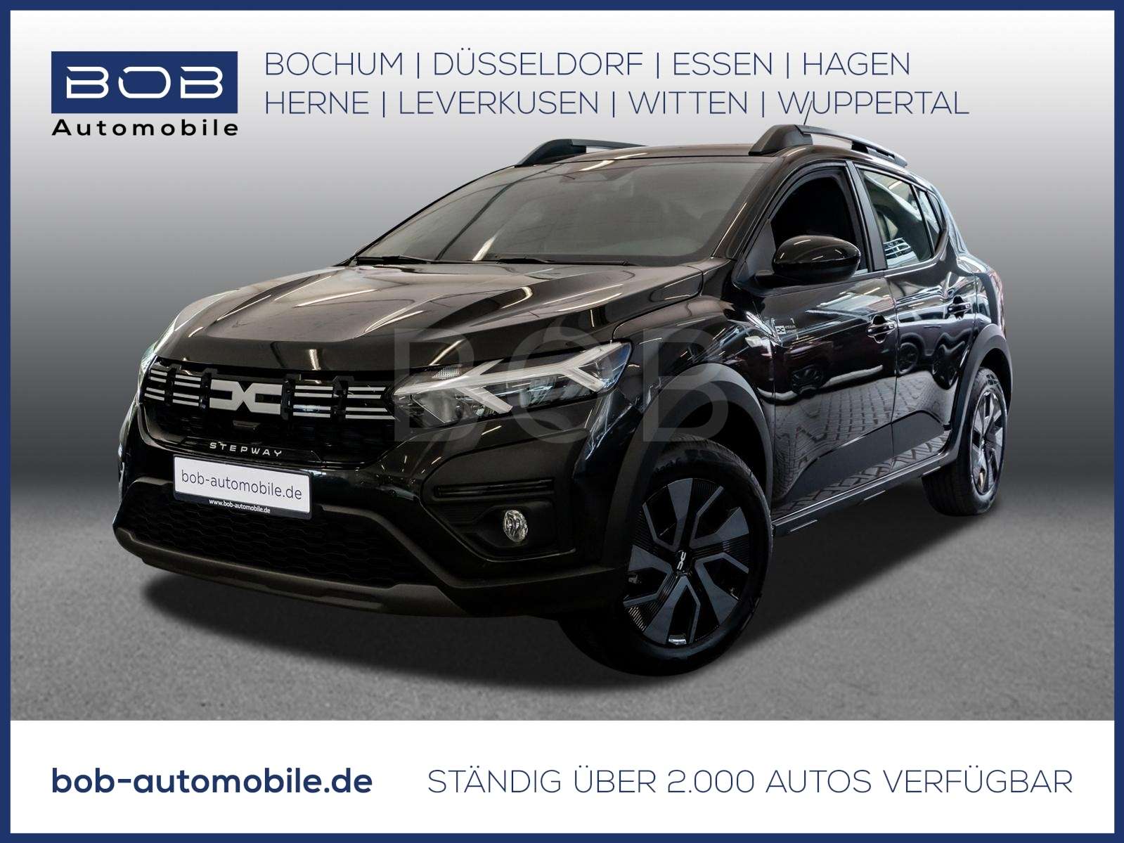 Fahrzeugbild eines Dacia Sandero