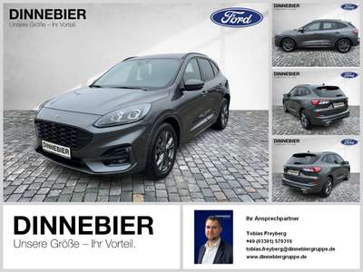 Bild Ford Kuga