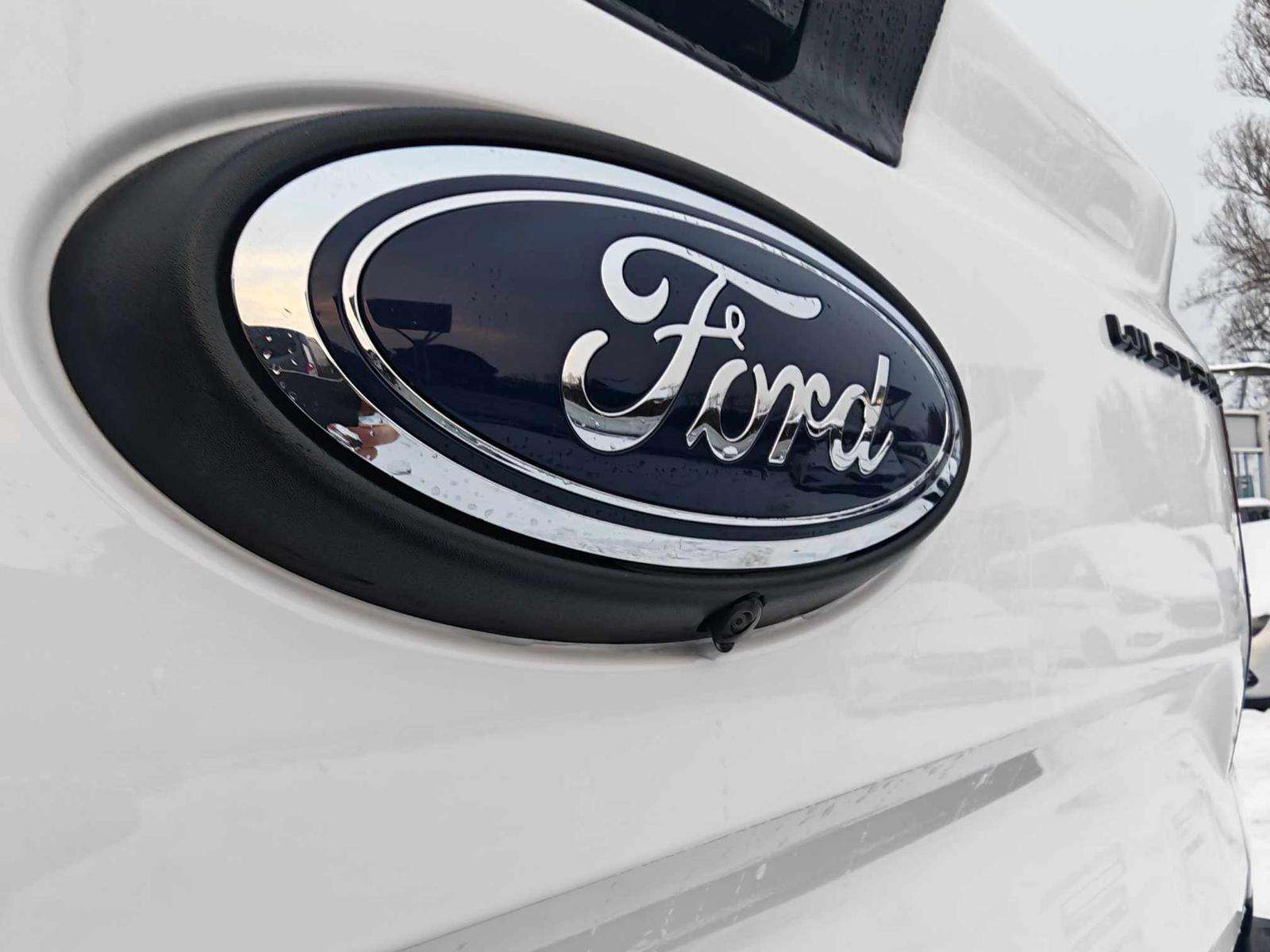 Fahrzeugbild eines Ford Ranger