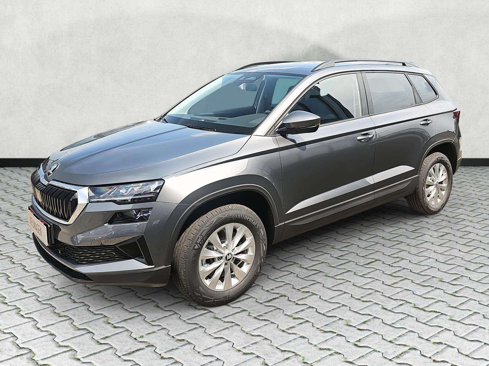 Fahrzeugbild eines Skoda Karoq