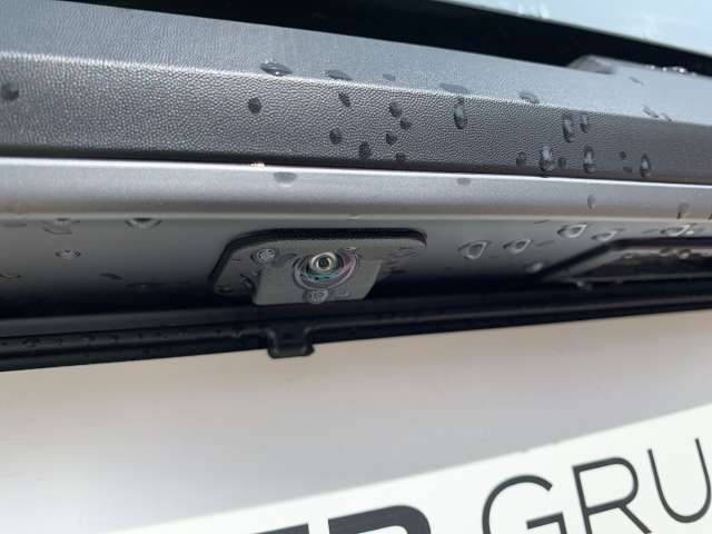 Fahrzeugbild eines Dacia Spring