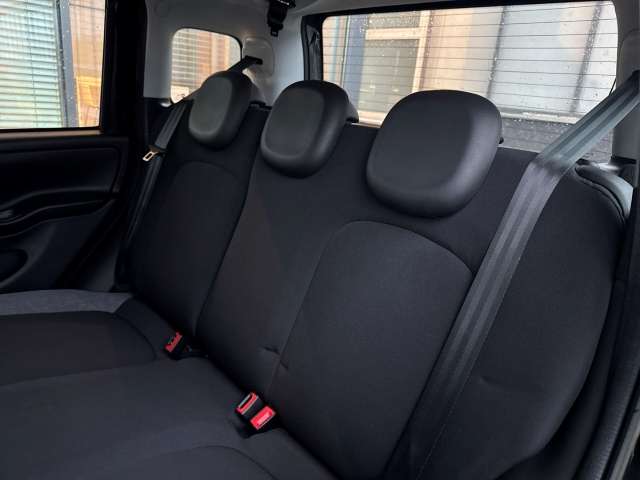 Fahrzeugbild eines Fiat Panda