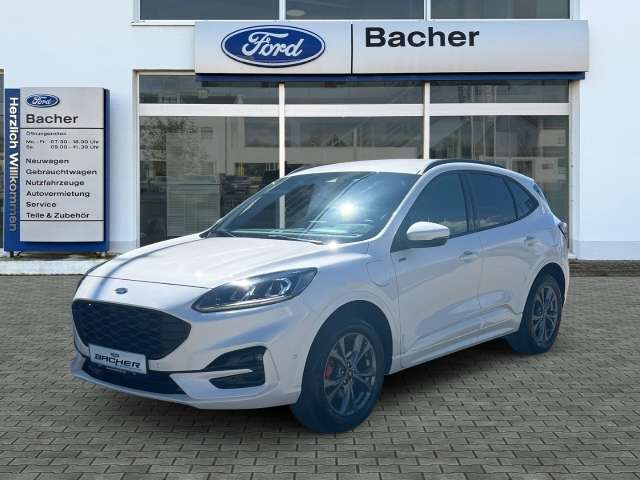 Fahrzeugbild eines Ford Kuga