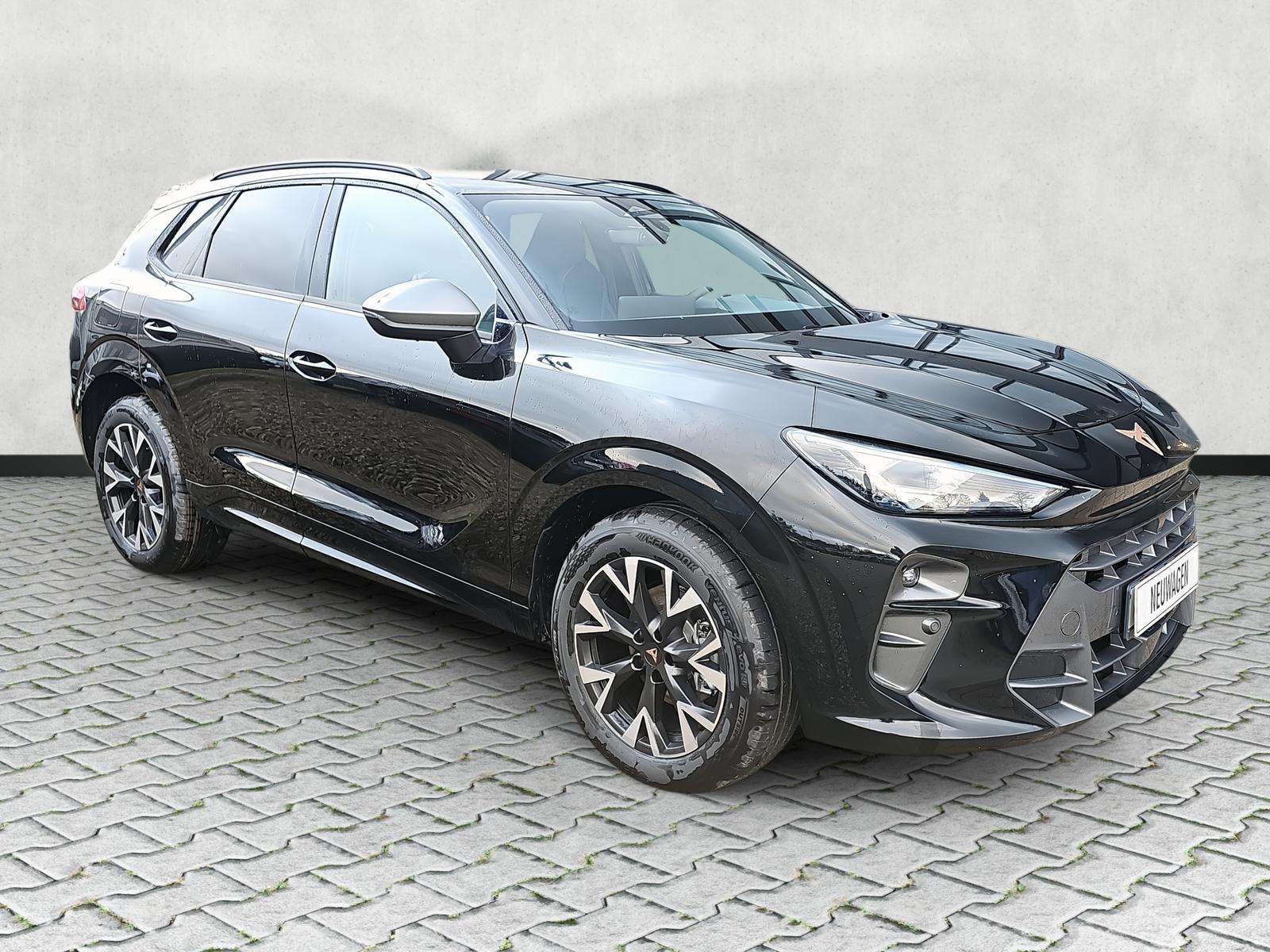 Fahrzeugbild eines CUPRA Terramar