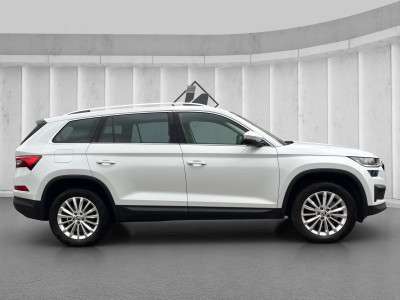 Fahrzeugbild eines Skoda Kodiaq