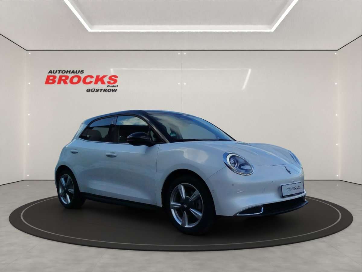 Fahrzeugbild eines GWM Ora 03