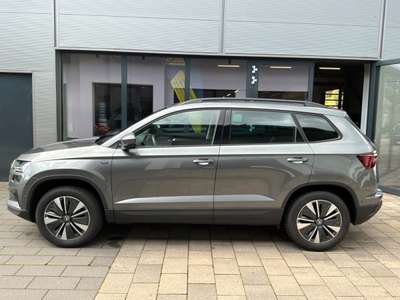Bild Skoda Karoq
