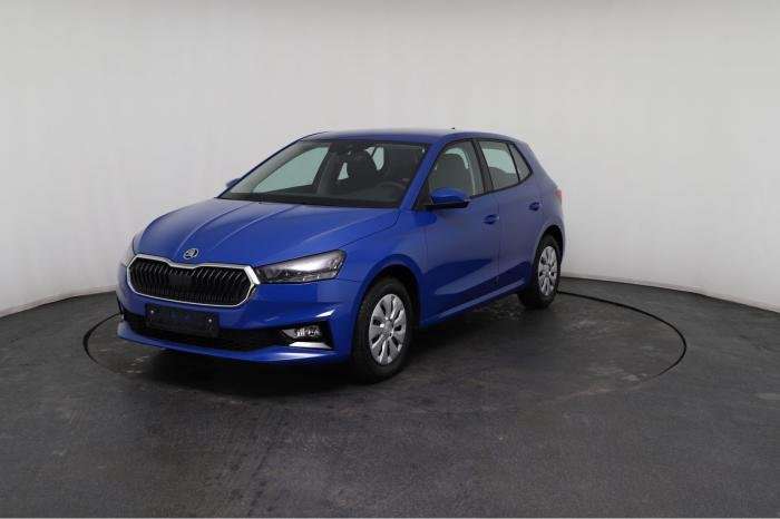 Fahrzeugbild eines Skoda Fabia