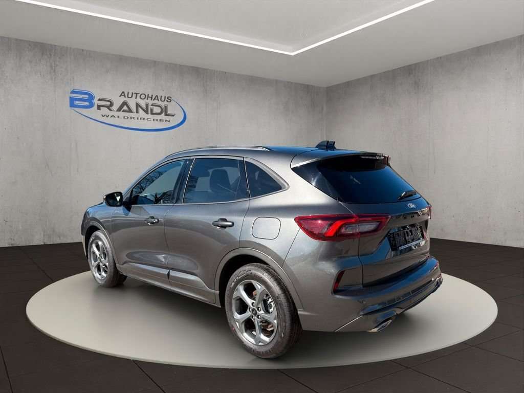 Fahrzeugbild eines Ford Kuga