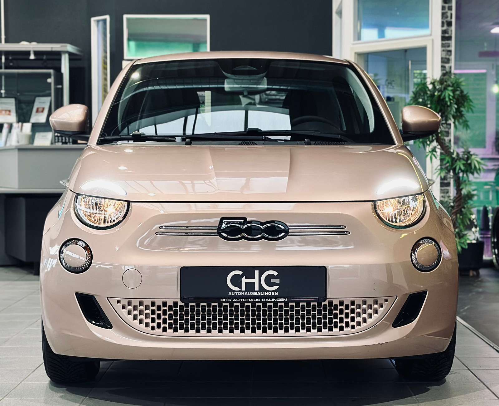 Fahrzeugbild eines Fiat 500