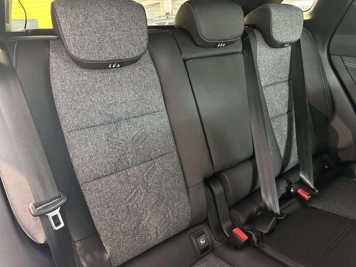 Fahrzeugbild eines Renault Austral