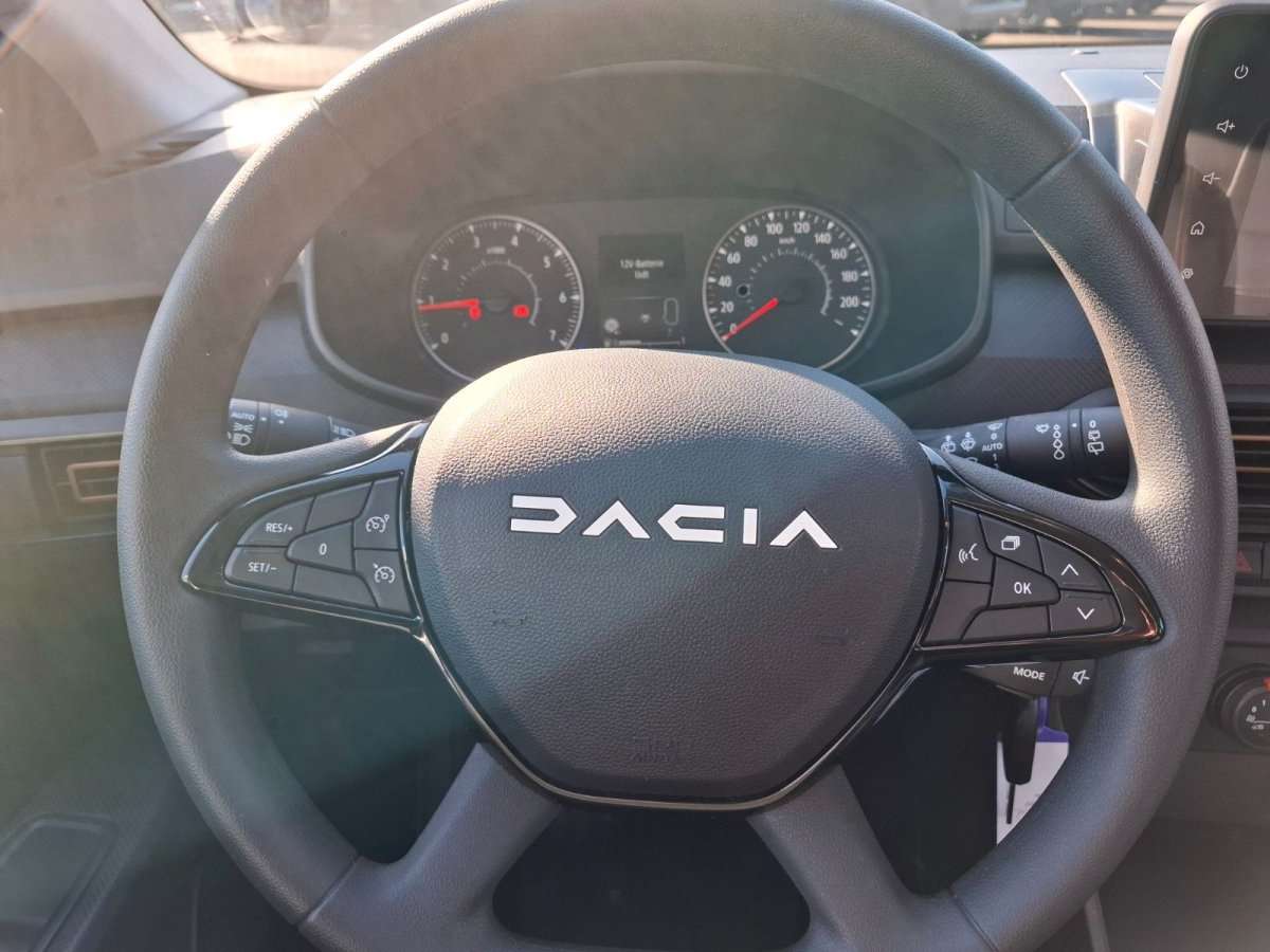 Fahrzeugbild eines Dacia Sandero