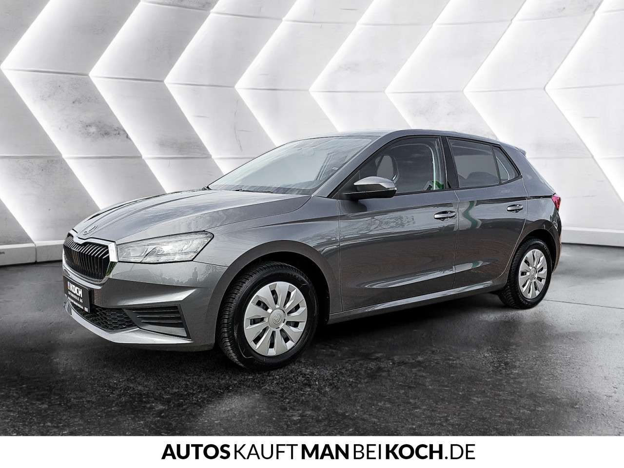 Fahrzeugbild eines Skoda Fabia