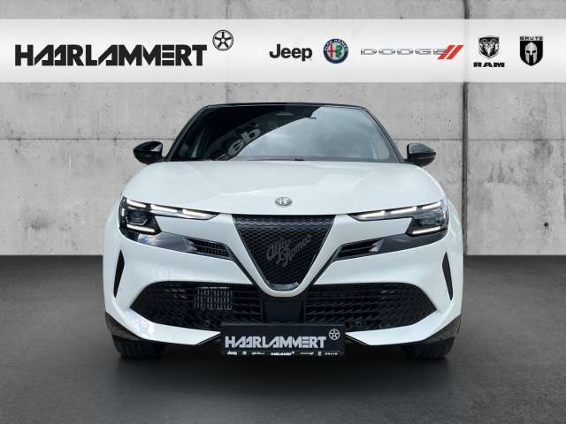 Fahrzeugbild eines Alfa Romeo Junior