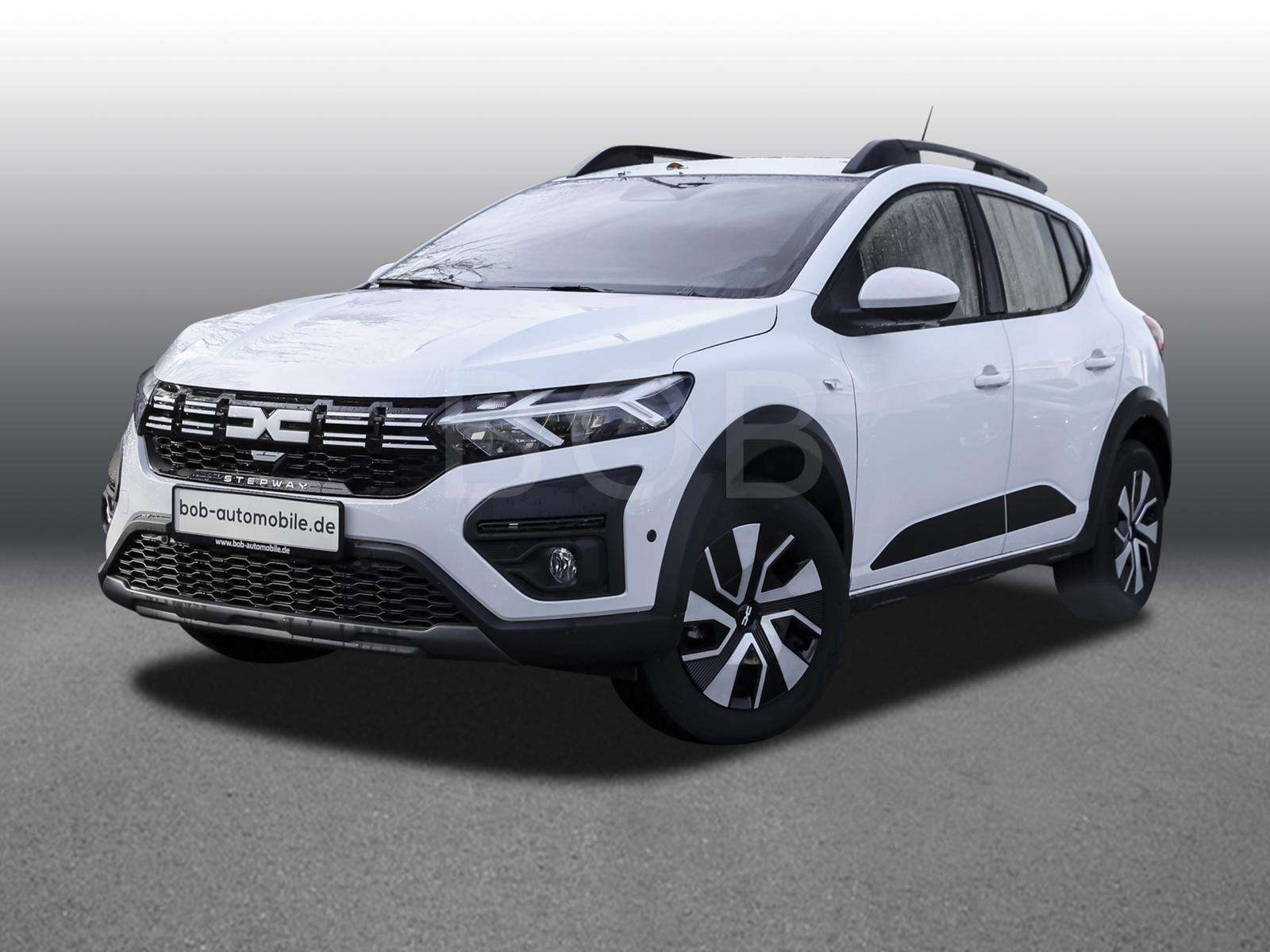 Fahrzeugbild eines Dacia Sandero