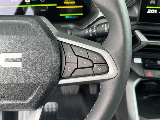 Fahrzeugbild eines Dacia Bigster