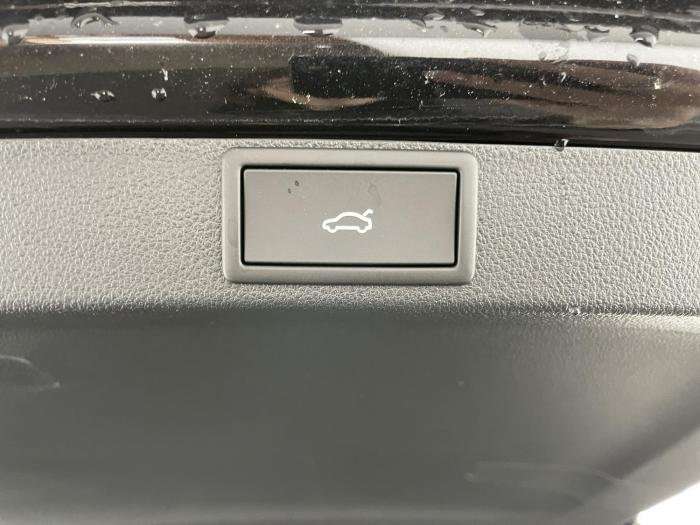 Fahrzeugbild eines Skoda Octavia