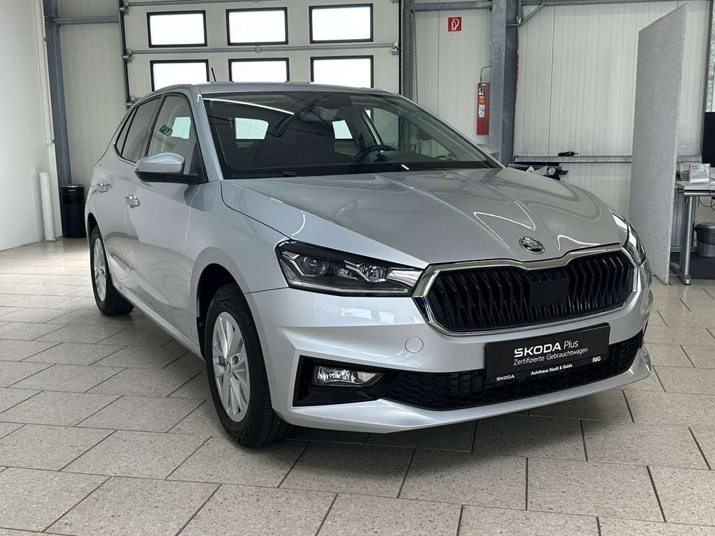 Fahrzeugbild eines Skoda Fabia