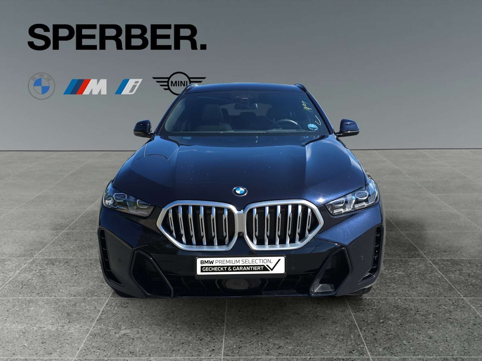 Fahrzeugbild eines BMW X6
