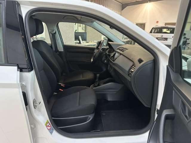 Fahrzeugbild eines Skoda Fabia