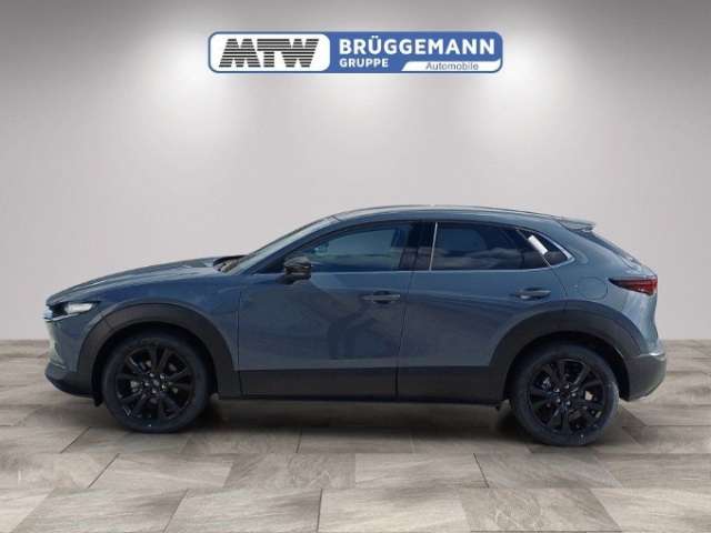 Fahrzeugbild eines Mazda CX-30