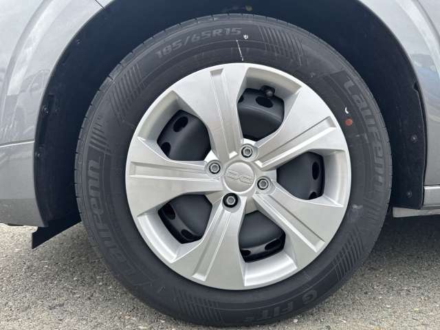 Fahrzeugbild eines Dacia Sandero