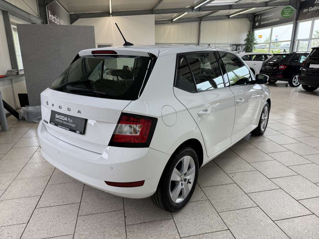 Fahrzeugbild eines Skoda Fabia