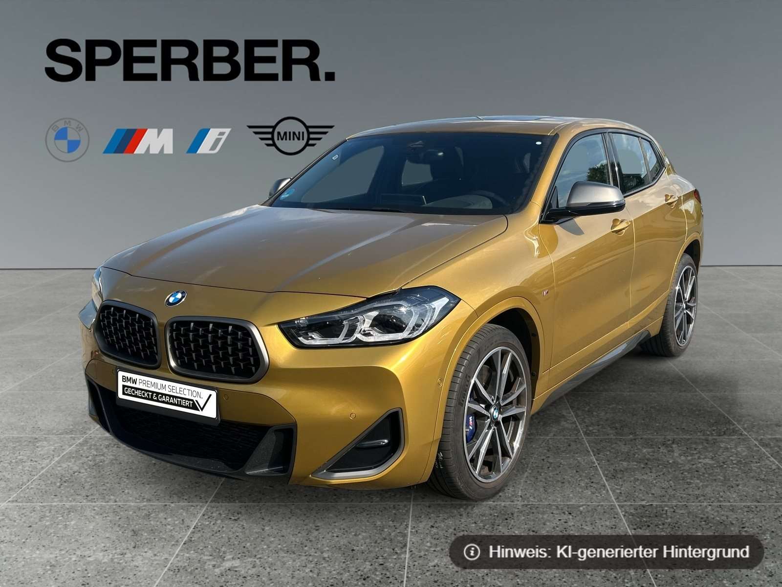 Fahrzeugbild eines BMW X2