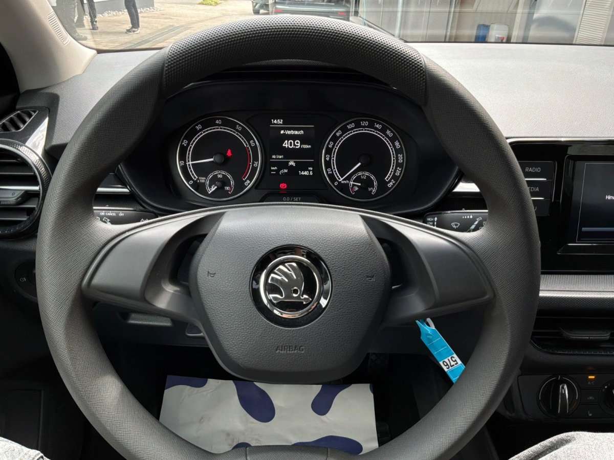 Fahrzeugbild eines Skoda Fabia