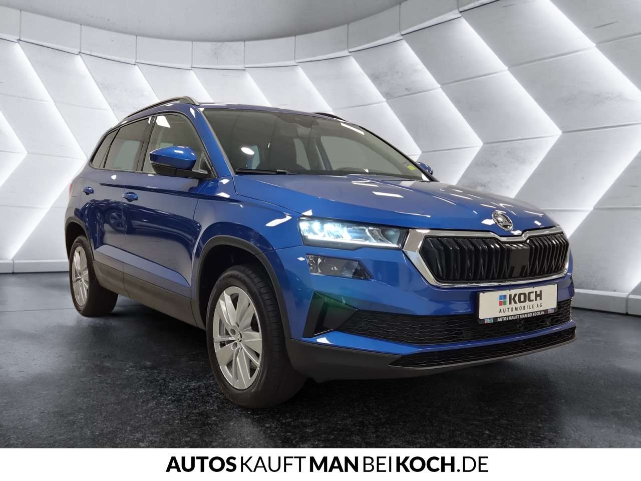 Fahrzeugbild eines Skoda Karoq
