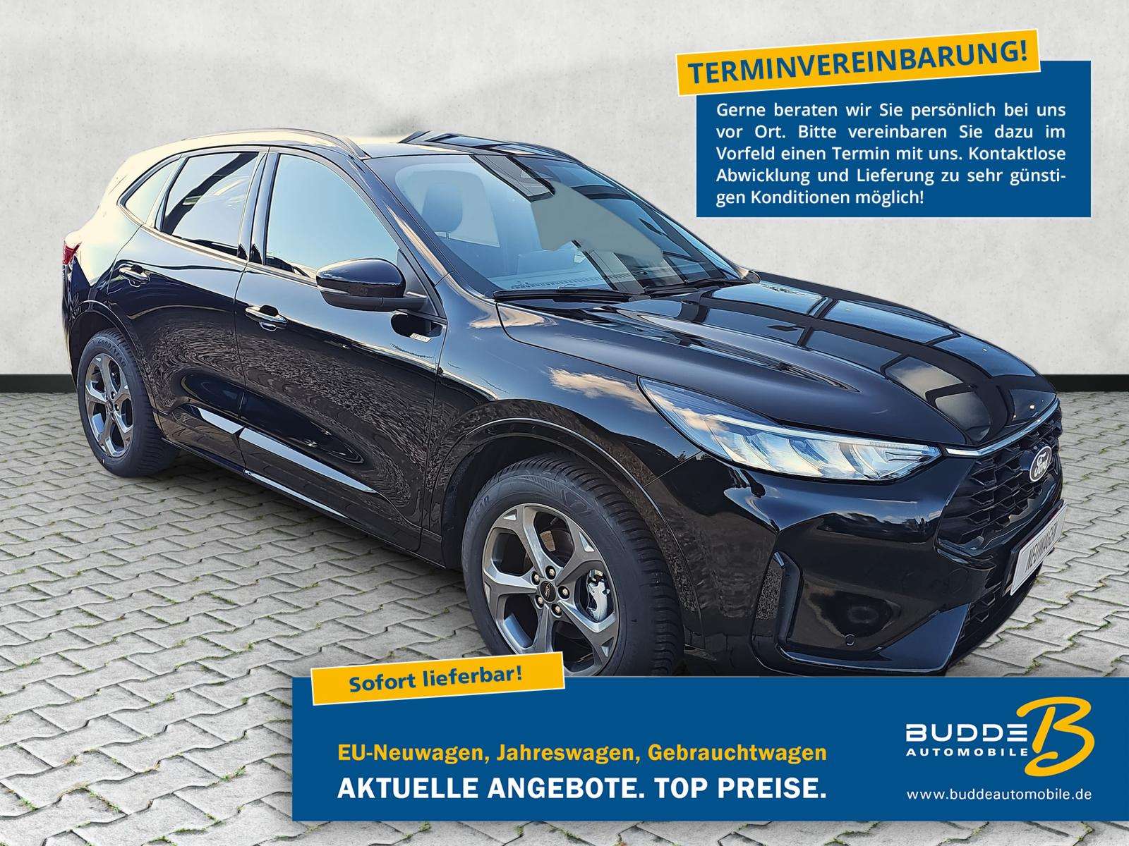 Fahrzeugbild eines Ford Kuga