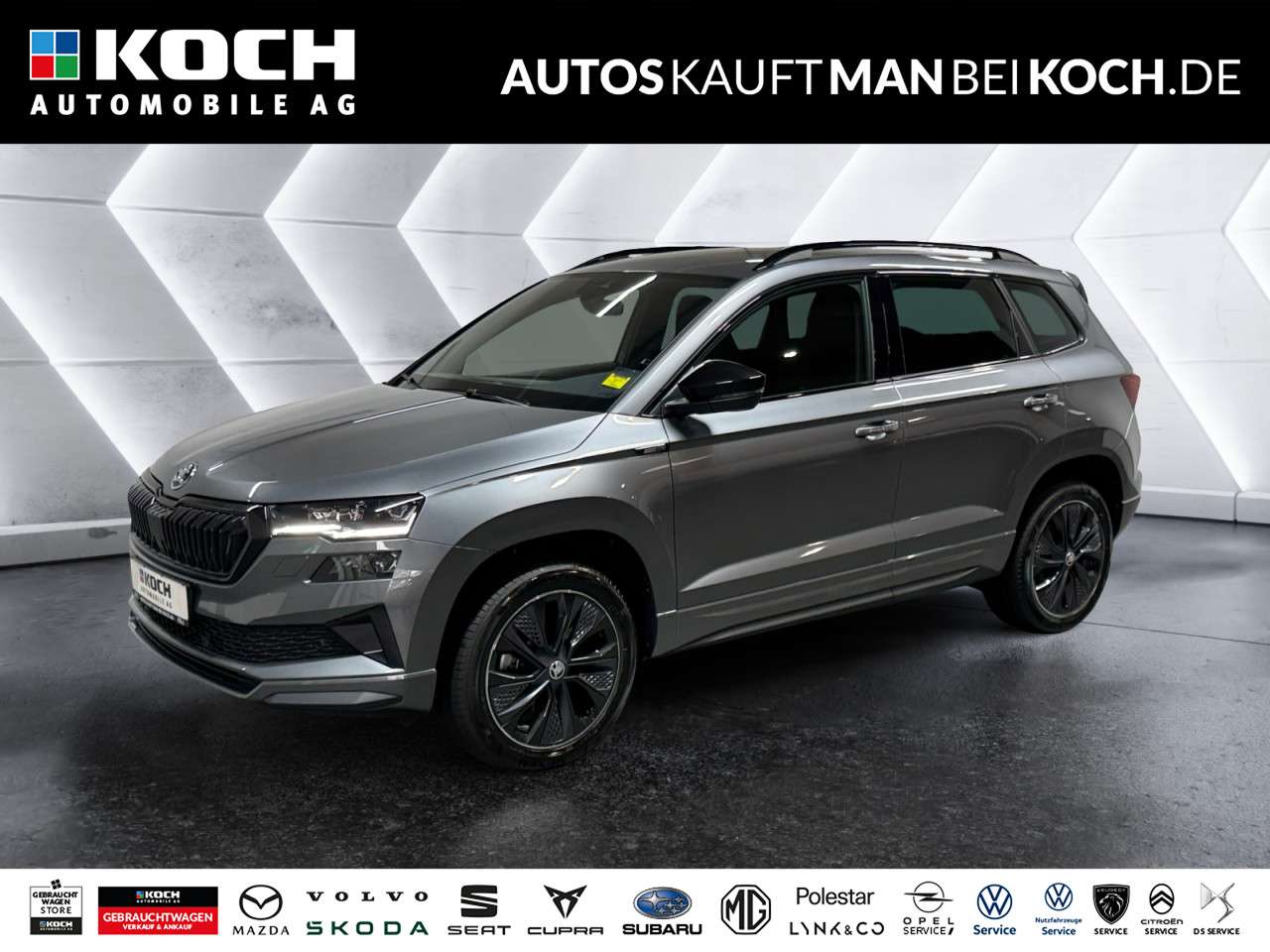 Fahrzeugbild eines Skoda Karoq