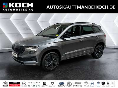 Bild Skoda Karoq